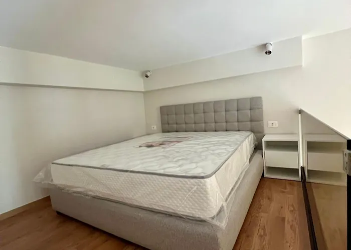 Holidays Ii 格勒姆